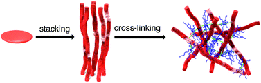 Graphical abstract: Photoresponsive two-component organogelators based on trisphenylisoxazolylbenzene