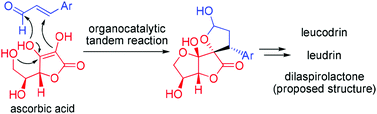 Graphical abstract: Organocatalytic 1,4-conjugate addition of ascorbic acid to α,β-unsaturated aldehydes: bio-inspired total syntheses of leucodrin, leudrin and proposed structure of dilaspirolactone