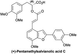 Graphical abstract: Total synthesis of (+)-pentamethylsalvianolic acid C