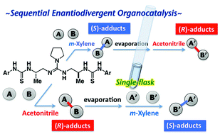 Graphical abstract: Sequential enantiodivergent organocatalysis: reversibility in enantioswitching controlled by a conformationally flexible guanidine/bisthiourea organocatalyst