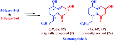 Graphical abstract: Total synthesis and revision of the absolute configuration of seimatopolide B