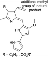 Graphical abstract: Synthetic prodigiosenes and the influence of C-ring substitution on DNA cleavage, transmembrane chloride transport and basicity