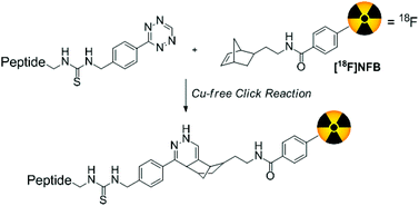 Graphical abstract: Synthesis and evaluation of an 18F-labelled norbornene derivative for copper-free click chemistry reactions