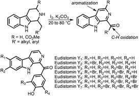 Graphical abstract: Tandem iodine-mediated oxidations of tetrahydro-β-carbolines: total synthesis of eudistomins Y1–Y7