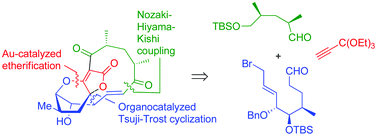 Graphical abstract: Total synthesis and biological evaluation of (−)-atrop–abyssomicin C