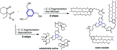 Graphical abstract: C–C bond fragmentation by Grob/Eschenmoser reactions, applications in dendrimer synthesis