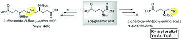 Graphical abstract: Straightforward synthesis of non-natural l-chalcogen and l-diselenide N-Boc-protected-γ-amino acid derivatives