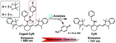 Graphical abstract: Development of ratiometric near-infrared fluorescent probes using analyte-specific cleavage of carbamate