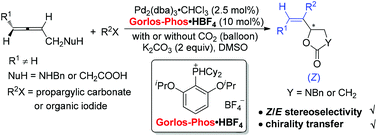 Graphical abstract: Gorlos-phos: addressing the stereoselectivity in palladium-catalyzed exo-mode cyclization of allenes with a nucleophilic functionality