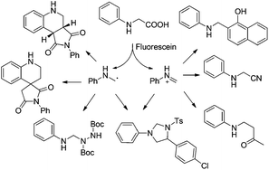 Graphical abstract: Amphiphilic methyleneamino synthon through organic dye catalyzed-decarboxylative aminoalkylation