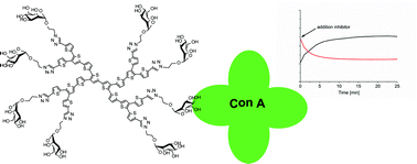 Graphical abstract: Mannose-functionalized dendritic oligothiophenes: synthesis, characterizations and studies on their interaction with Concanavalin A