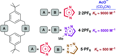 Graphical abstract: [14]Heterophane prototypes containing azolium and/or azole anion-binding motifs