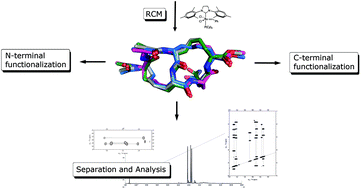 Graphical abstract: Synthesis and structural characterization of the individual diastereoisomers of a cross-stapled alkene-bridged nisin DE-ring mimic