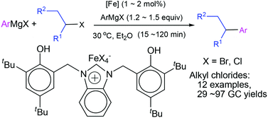 Graphical abstract: Efficient cross-coupling of aryl Grignard reagents with alkyl halides by recyclable ionic iron(iii) complexes bearing a bis(phenol)-functionalized benzimidazolium cation