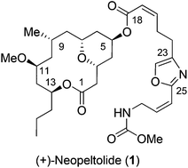 Graphical abstract: Enantioselective total synthesis of macrolide (+)-neopeltolide