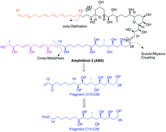 Graphical abstract: Diastereoselective synthesis of the C14–C29 fragment of amphidinol 3