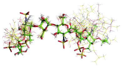 Graphical abstract: 3D structure of a heparin mimetic analogue of a FGF-1 activator. A NMR and molecular modelling study