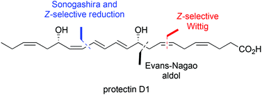 Graphical abstract: Stereoselective synthesis of protectin D1: a potent anti-inflammatory and proresolving lipid mediator