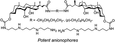 Graphical abstract: Synthesis and anionophoric activities of dimeric polyamine–sterol conjugates: the impact of rigid vs. flexible linkers