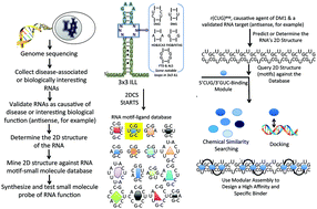 Graphical abstract: Methods to enable the design of bioactive small molecules targeting RNA