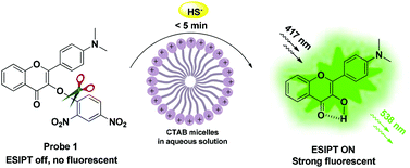 Graphical abstract: A visible light excitable colorimetric and fluorescent ESIPT probe for rapid and selective detection of hydrogen sulfide