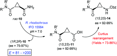 Graphical abstract: Enantioselective bacterial hydrolysis of amido esters and diamides derived from (±)-trans-cyclopropane-1,2-dicarboxylic acid