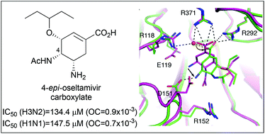 Graphical abstract: Synthesis, structure and inhibitory activity of a stereoisomer of oseltamivir carboxylate