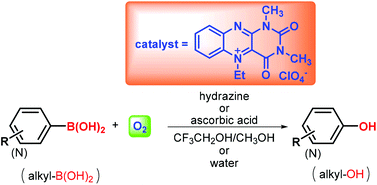 Graphical abstract: Biomimetic aerobic oxidative hydroxylation of arylboronic acids to phenols catalysed by a flavin derivative