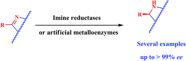 Graphical abstract: Enantioselective imine reduction catalyzed by imine reductases and artificial metalloenzymes