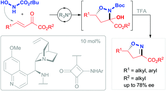 Graphical abstract: Organocatalysed synthesis of isoxazolines initiated by a chemoselective oxa-Michael reaction of N-BocNHOH