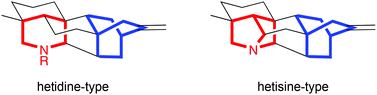 Graphical abstract: Synthetic strategies toward hetidine and hetisine-type diterpenoid alkaloids