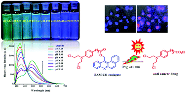 Graphical abstract: Benzo[a]acridinylmethyl esters as pH sensitive fluorescent photoactive precursors: synthesis, photophysical, photochemical and biological applications
