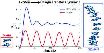 Graphical abstract: The interplay between neutral exciton and charge transfer states in single-strand polyadenine: a quantum dynamical investigation