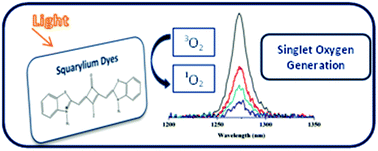 Graphical abstract: Photochemical properties of squarylium cyanine dyes