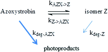 Graphical abstract: Phototransformation of azoxystrobin fungicide in organic solvents. Photoisomerization vs. photodegradation