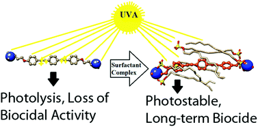 Graphical abstract: Cationic oligo-p-phenylene ethynylenes form complexes with surfactants for long-term light-activated biocidal applications
