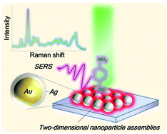 Graphical abstract: Fabrication of dense two-dimensional assemblies over vast areas comprising gold(core)–silver(shell) nanoparticles and their surface-enhanced Raman scattering properties