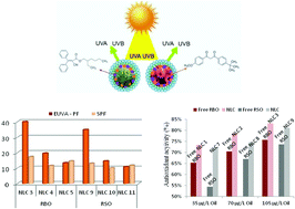 Graphical abstract: Rice bran and raspberry seed oil-based nanocarriers with self-antioxidative properties as safe photoprotective formulations