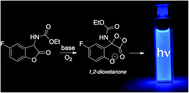 Graphical abstract: Evidence supporting a 1,2-dioxetanone as an intermediate in the benzofuran-2(3H)-one chemiluminescence