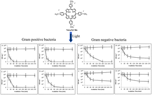 Graphical abstract: Influence of external bacterial structures on the efficiency of photodynamic inactivation by a cationic porphyrin