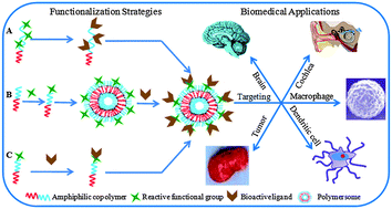 Graphical abstract: Functionalized polymersomes for biomedical applications