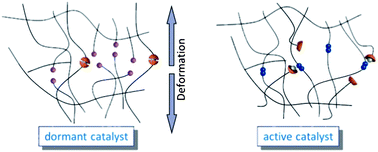 Graphical abstract: Mechanocatalysis: forcing latent catalysts into action