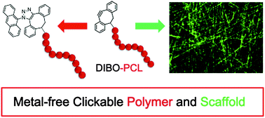 Graphical abstract: 4-Dibenzocyclooctynol (DIBO) as an initiator for poly(ε-caprolactone): copper-free clickable polymer and nanofiber-based scaffolds