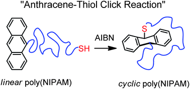 Graphical abstract: A facile approach for the synthesis of cyclic poly(N-isopropylacrylamide) based on an anthracene–thiol click reaction