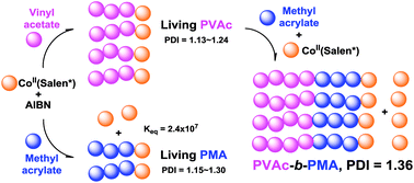 Graphical abstract: Living radical polymerization of vinyl acetate and methyl acrylate mediated by Co(Salen*) complexes