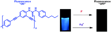 Graphical abstract: Thiourea-functionalized poly(phenyleneethynylene): fluorescent chemosensors for anions and cations