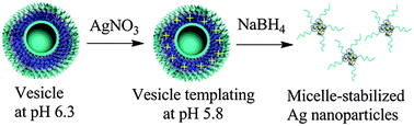 Graphical abstract: Ultrafine silver nanoparticles with excellent antibacterial efficacy prepared by a handover of vesicle templating to micelle stabilization