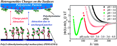 Graphical abstract: Investigating interactions between cationic particles and polyelectrolyte brushes with Total Internal Reflection Microscopy (TIRM)