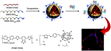 Graphical abstract: Bright far-red/near-infrared fluorescent conjugated polymer nanoparticles for targeted imaging of HER2-positive cancer cells