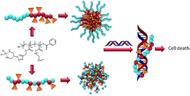 Graphical abstract: Macromolecular platinum-drugs based on statistical and block copolymer structures and their DNA binding ability